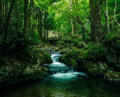 湯水のように使う